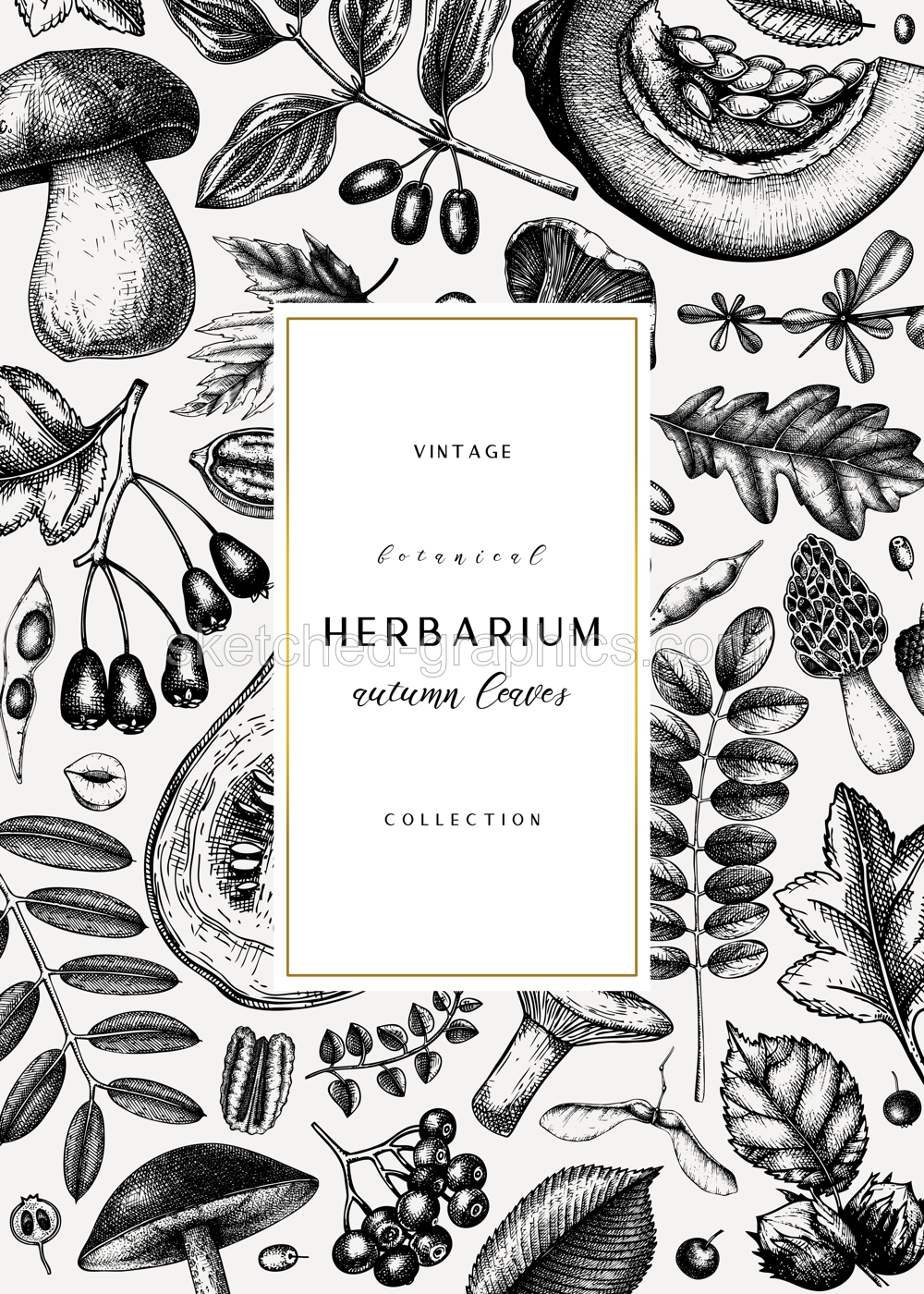 Hand sketched autumn card or invitation design. Elegant botanical template with autumn leaves, berries, seeds, nuts, mushroom sketches. Perfect for flyers, menu, label, packaging.  Illustration